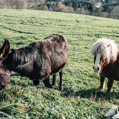 Сasa de vacaciones Quinta Da Alqueidosa - Guarda