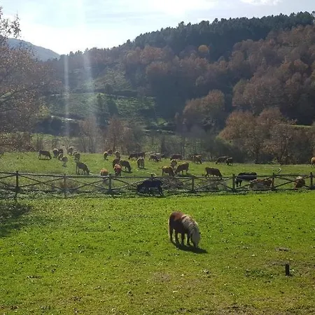 Quinta Da Alqueidosa - Corujeira (Coimbra)