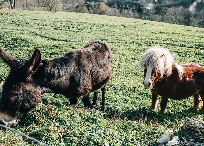 Prázdninový dům Quinta Da Alqueidosa - Guarda