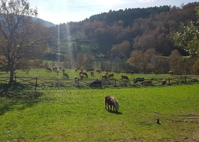 Quinta Da Alqueidosa - Guarda